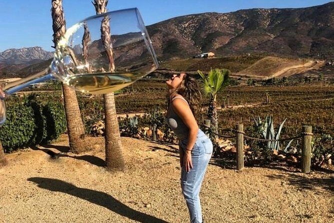 Wine tasting Valle de Guadalupe & Casa Frida - Getting to Valle de Guadalupe from Rosarito without the stress