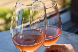Wine tasting Valle de Guadalupe & Casa Frida - Barón Balche: cellar tour and the young-wine tastings