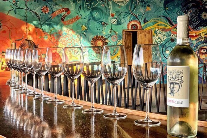 Wine tasting Valle de Guadalupe & Casa Frida - Decantos Vinícola: one included bottle per group