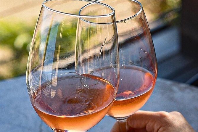 Wine tasting Valle de Guadalupe & Casa Frida - Barón Balche: cellar tour and the young-wine tastings