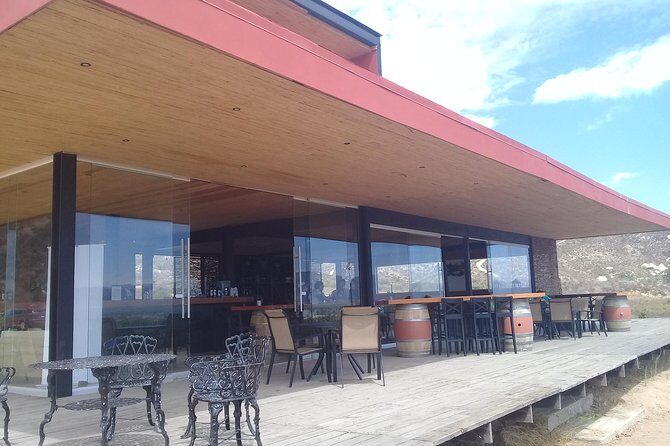 wine tours and driver service through valle de guadalupe, Ensenada B.C. Mexico - A private driver turns Valle de Guadalupe into a no-stress day