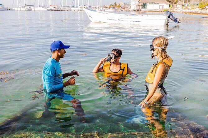 With Turtles, Shipwreck, Cenote, and Reef and Transport Included - Cancun’s Reef-and-Wreck Snorkel, Run Like a Real Boat Day