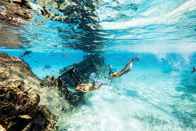 With Turtles, Shipwreck, Cenote, and Reef and Transport Included - The Photo/Video Add-On: Fun If You Want the Footage, Not If You Don’t