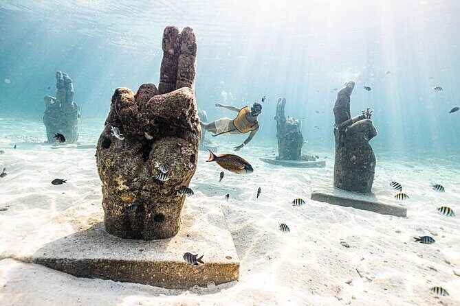 With Turtles, Shipwreck, Cenote, and Reef and Transport Included - Who This Tour Is Best For (And Who Might Want a Different One)