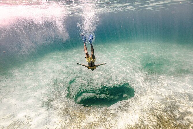 With Turtles, Shipwreck, Cenote, and Reef and Transport Included - Read This Before You Go: Practical Tips That Actually Help