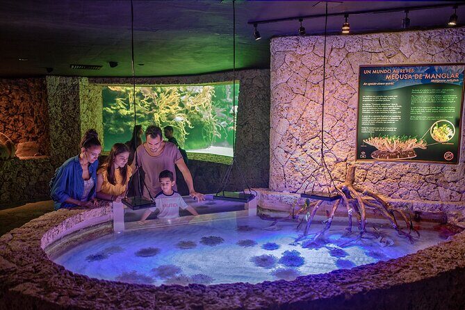 Xcaret Park Entry Tickets with Cultural Night Show Included - Xcaret in the Cancun-Playa del Carmen zone: what this ticket really buys
