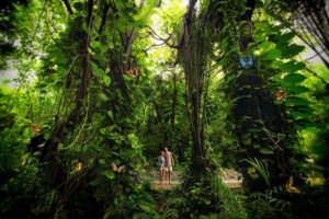 Xcaret Park Entry Tickets with Cultural Night Show Included - Touring the park: beaches, underground rivers, and the jungle trail pace