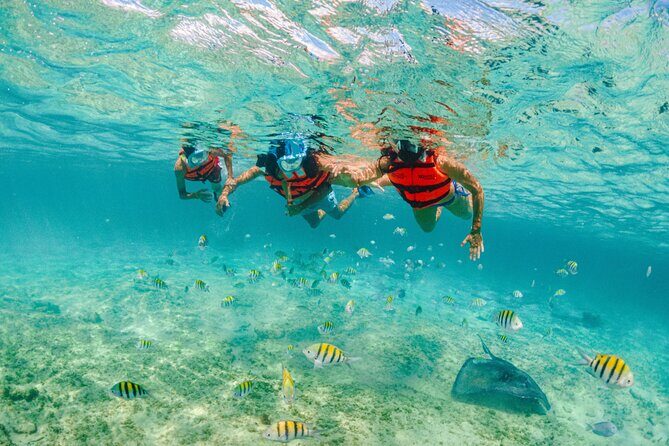 Xcaret Park Entry Tickets with Cultural Night Show Included - Espectacular evening performance: how to time your arrival after 4pm