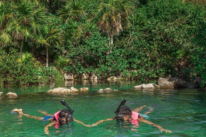 Xcaret Park Entry Tickets with Cultural Night Show Included - Getting there the smart way: transport choices that change your stress level