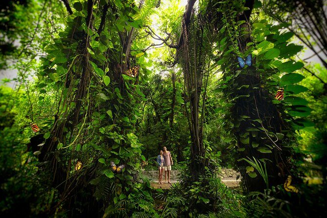 Xcaret Park Entry Tickets with Cultural Night Show Included - Touring the park: beaches, underground rivers, and the jungle trail pace