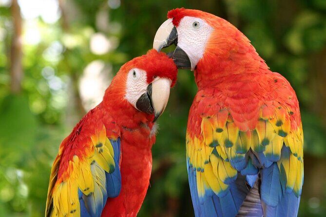 Xcaret Plus Full-Day Tour from Cancun with Transport - Quick hits before you go