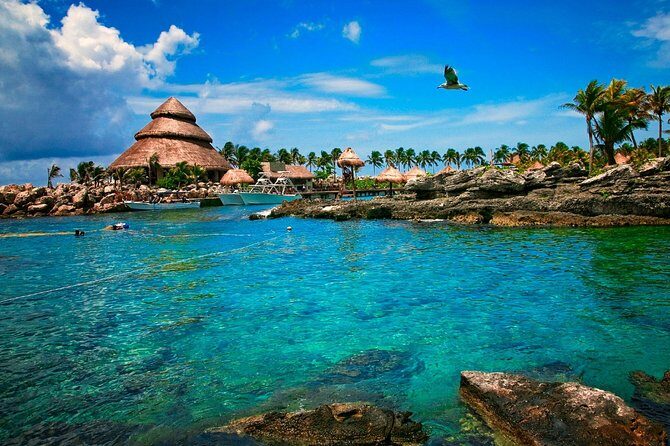 Xcaret Plus Full-Day Tour from Cancun with Transport - Why this Xcaret Plus tour feels easy from Cancun