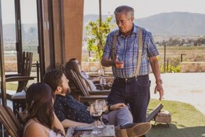 Xecue Wine Tasting in the Guadalupe Valley - The guided vineyard and estate story: how the hour gets its context