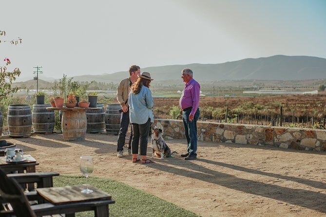 Xecue Wine Tasting in the Guadalupe Valley - The five-wine tasting: reds, rosé, white (and how to enjoy it)