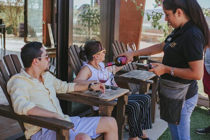 Xecue Wine Tasting in the Guadalupe Valley - Service quality, pace, and what to expect from the staff