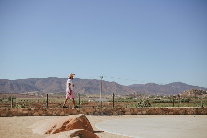 Xecue Wine Tasting in the Guadalupe Valley - Who this tour suits best (and who might want something else)