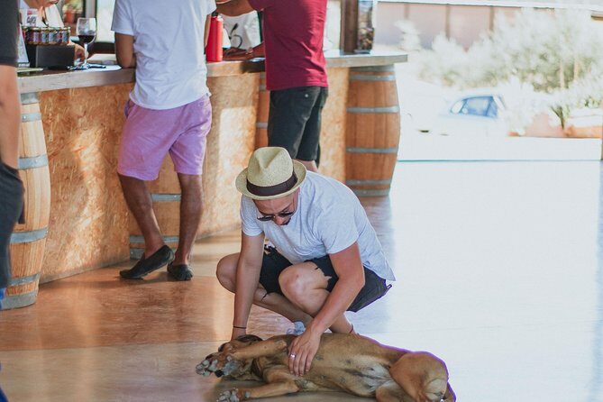 Xecue Wine Tasting in the Guadalupe Valley - Timing tips and value: getting the most from an hour