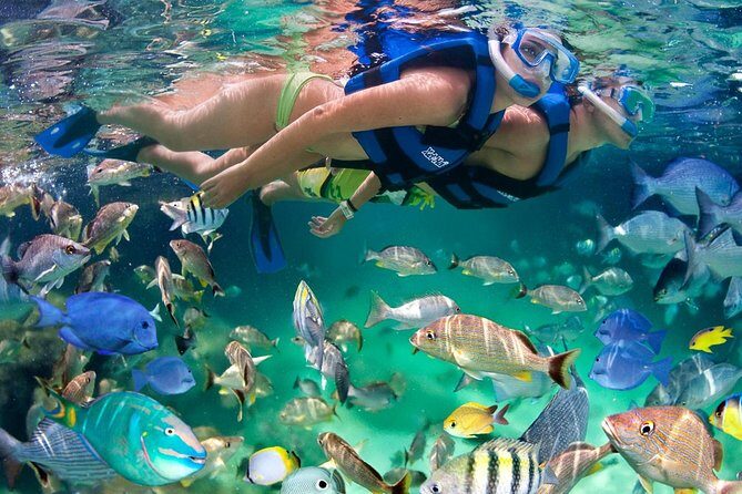 Xel ha All Inclusive - Key Highlights You’ll Actually Use