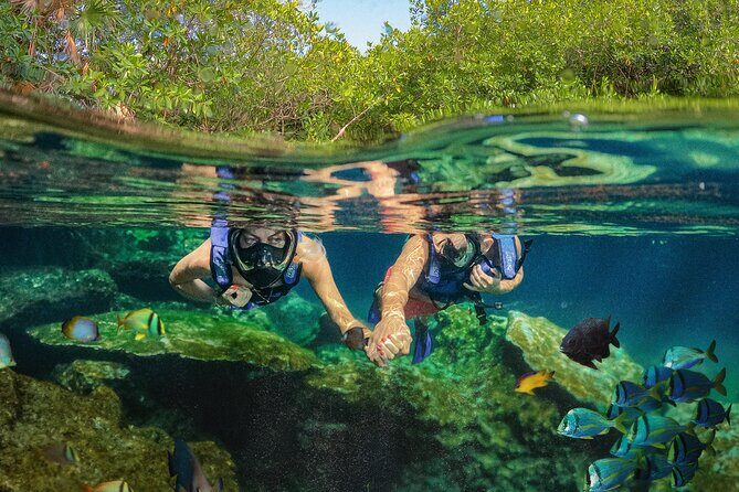Xel-Ha Park Admission Tickets - Xel-Há: a natural aquarium that still feels like a theme park