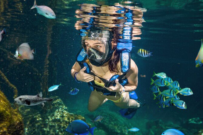Xel-Ha Tickets with Transportation included - Price and value: what your $114.99 ticket actually buys