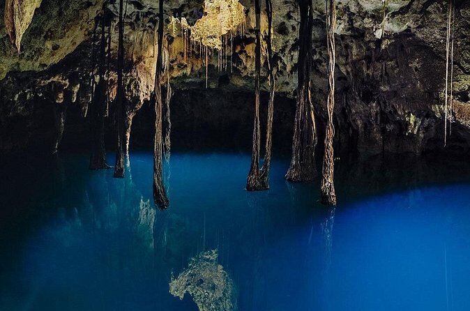 Xenotes - Should you book Xenotes Cancun?