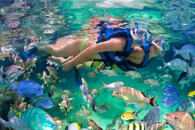 Xikbal Eco Park All Inclusive - How the Cancun-to-Xikbal day really runs
