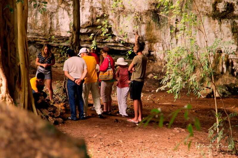 Xkopek, Mayan Bees Tour and Honey Tasting in Valladolid - The Meliponario: Where Stingless Bees and Hive Structure Meet