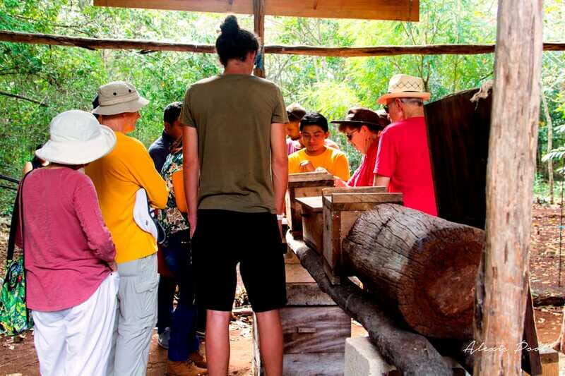 Xkopek, Mayan Bees Tour and Honey Tasting in Valladolid - Honey Tastings and Hive Products: The Part You’ll Remember