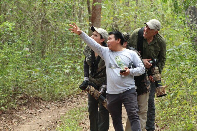 Xocen Birding - Species highlights you can plan around