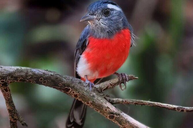 Xocen Birding - Walking the sendero: your bird list comes from habitat variety