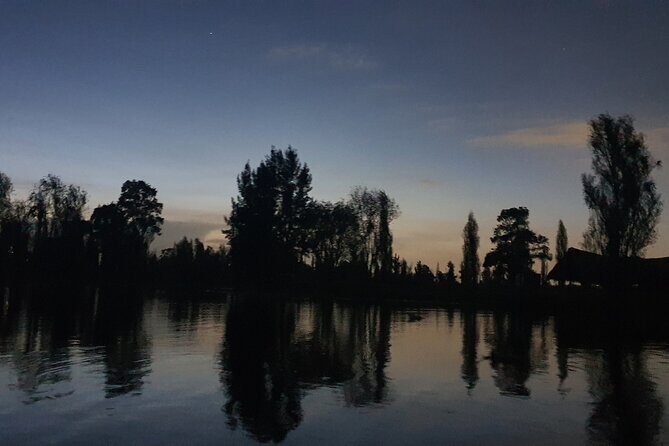 Xochimilco Barco Fiesta Tentacion 18+ with Open Bar and Tacos - What This 18+ Xochimilco Party Boat Really Feels Like