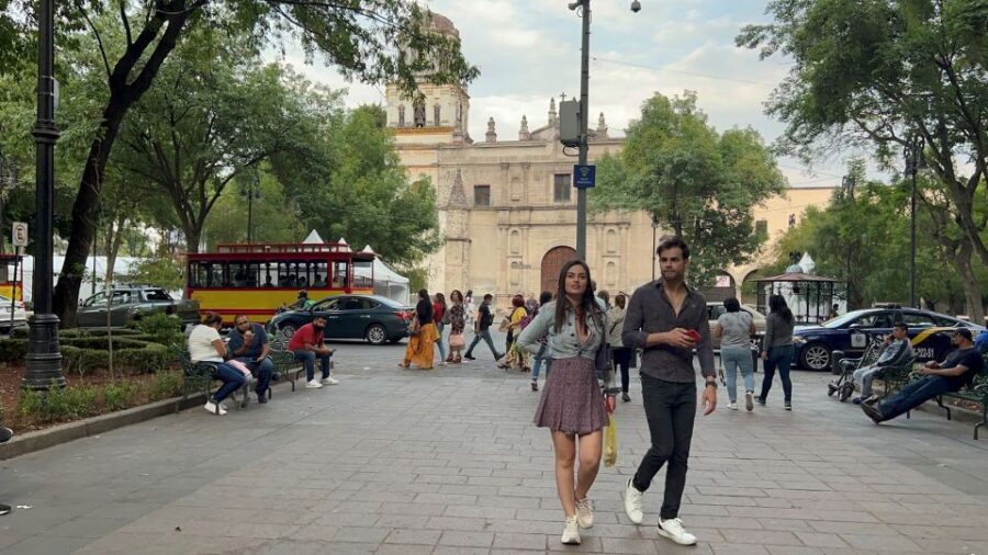 Xochimilco & Colonial Coyoacan Trip - What to Bring (and What to Avoid) for a Smooth Day