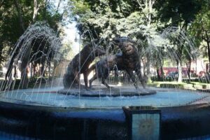 Xochimilco, Coyoacan and Frida Kahlo Museum Tour - Xochimilco on a Trjinera: Slow Canals, Flowers, and Optional Music