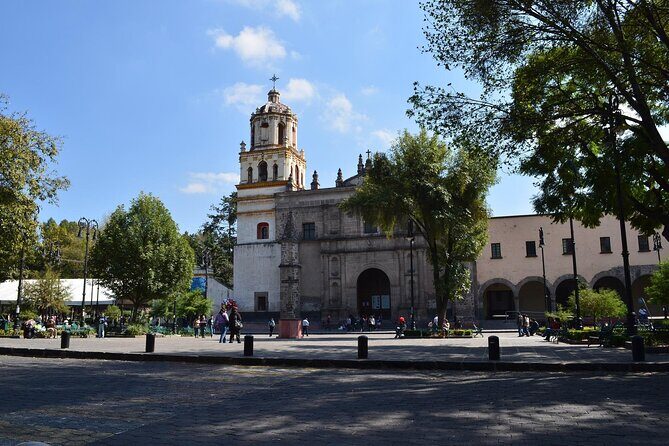 Xochimilco, Coyoacan and Frida Kahlo Museum Tour - Pickup, Timing, and Group Size: How to Avoid a Stressy Day