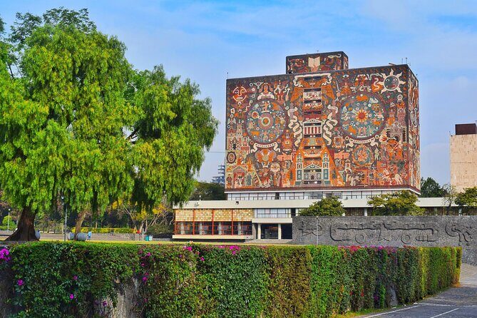 Xochimilco, Coyoacan and Frida Kahlo Museum Tour - Who This Tour Suits Best (and Who Should Skip)