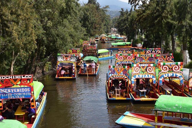 XOCHIMILCO & COYOACAN (Private) - The “in between” is real: traffic and travel time in CDMX