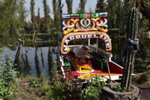 Xochimilco & Coyoacán Private Tour: Canals, Markets & Local Food - UNAM Central Library murals in 40 minutes