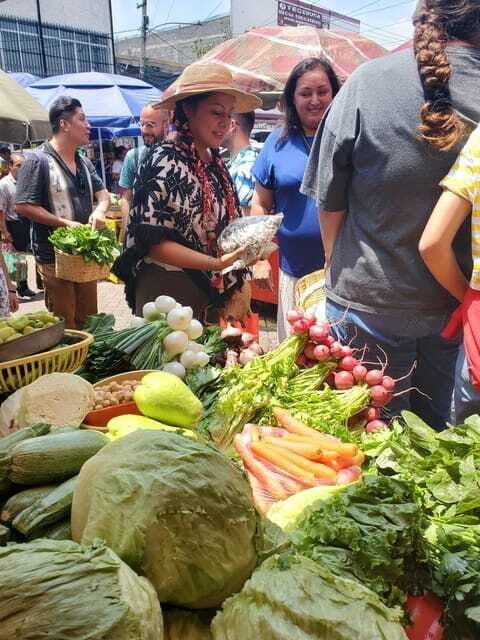 Xochimilco: Market, Food and Nature ¡All included! Tour - Axolotl sanctuary stop: what you’re seeing and why it matters