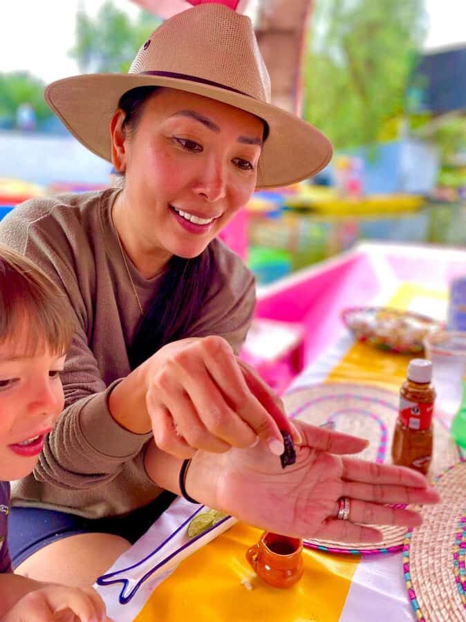 Xochimilco Mezcal Party: Culture, Flavor, and Fiesta - Xochimilco canals: the reason this mezcal tasting works