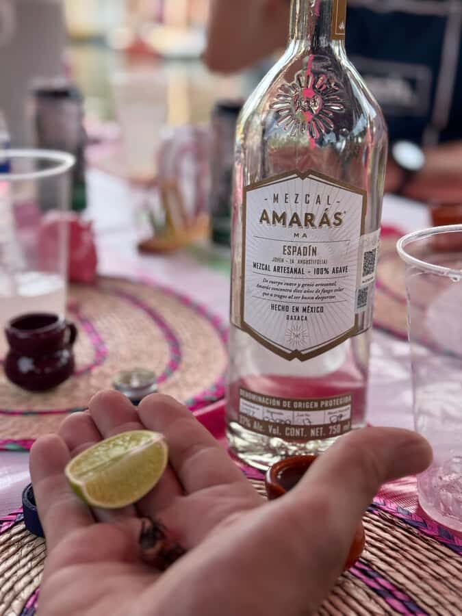 Xochimilco Mezcal Party: Culture, Flavor, and Fiesta - Boat energy with guides like Alan, Paola, and Odette