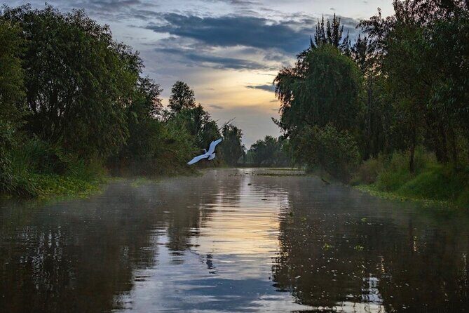 Xochimilco Sunrise from Mexico - Key highlights you’ll actually feel