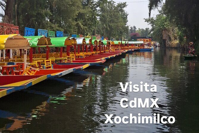 Xochimilco Tour - Transport and Group Size: What “Up to 15” Changes