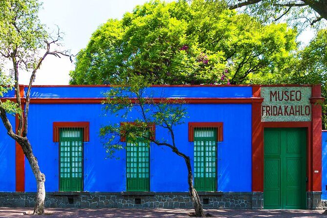 Xochimilco Tour & Frida Kahlo Museums - The guide effect: why some days feel like art tours and others feel like driving