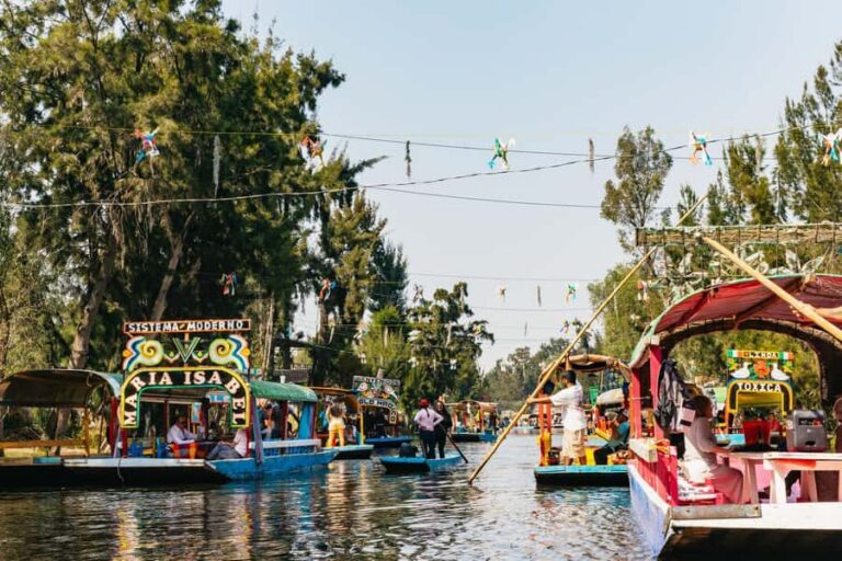 Xochimilco: traditional boat tour, culture, and fun. - Getting to Embarcadero Las Flores Nativitas (and finding your spot fast)