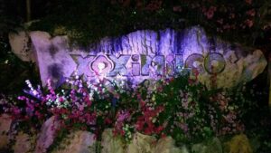 Xoximilco Ticket: Boat Fiesta, Traditional Tasting & Tequila Bar - Timing, Arrival, and What the 7 pm to 11 pm Window Means