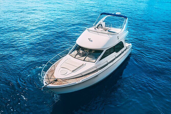 Yacht Meridian 40FT Best Private Rental in Cancun - Snorkeling at the shipwreck: what you’re getting (and how to set expectations)