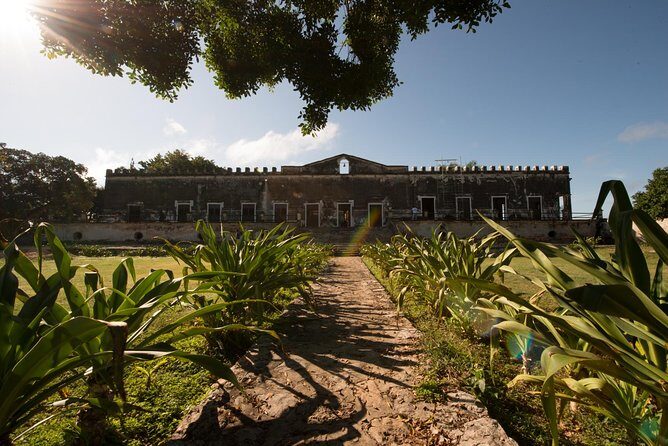 Yaxcopoil Hacienda, Uxmal & Cenote from Merida - From Mérida pickup to a full day: the logistics that matter