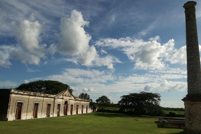 Yaxcopoil Hacienda, Uxmal & Cenote from Merida - Guides make the difference: who you might get and why it matters