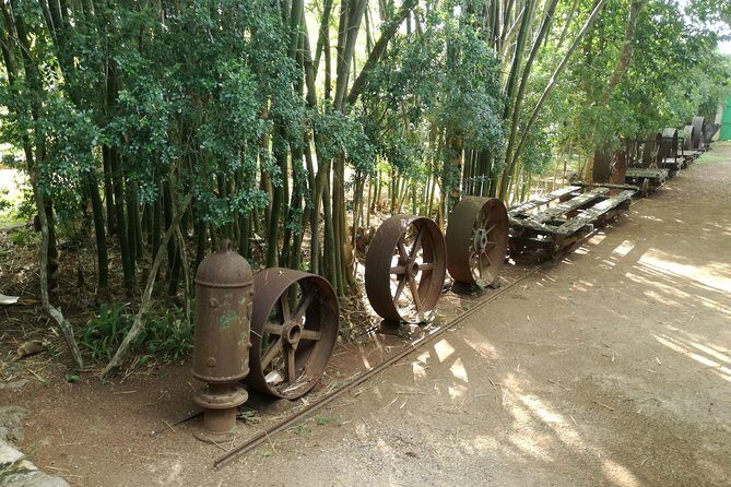 Yaxcopoil Hacienda, Uxmal & Cenote from Merida - Price and value: what $153 buys you, and what to watch for