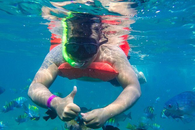 Yelapa Waterfall, BBQ at Exclusive Majahuitas Beach & Open bar - Majahuitas Beach Club: BBQ lunch, non-alcoholic drinks, and water sports